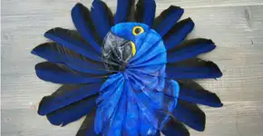 Foto: (Imagem sem texto alternativo disponivel ID [1828846])