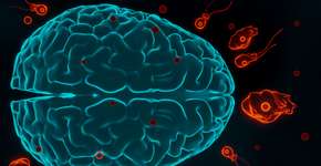 Foto: (sutthiphorn phanchart/istock)