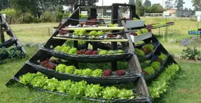 Manual de Agricultura Urbana promove alimentação sustentável nas grandes cidades