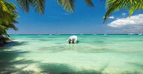 Foto: (valio84sl/iStock)