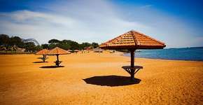 Foto: (Divulgação/PMPE)