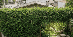 Foto: (Imagem sem texto alternativo disponivel ID [2746133])