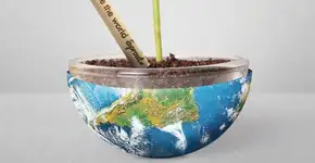 Lápis ecológico se transforma em planta