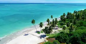 Foto: (Cristian Lourenço/iStock)