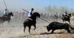 Foto: (Imagem sem texto alternativo disponivel ID [1101558])