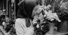 Foto: (Reprodução site oficial MUBI)