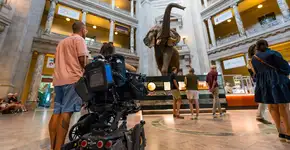 Foto: (Divulgação/Destination DC)