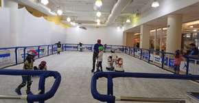 Foto: (Imagem sem texto alternativo disponivel ID [2247131])