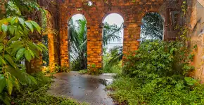 Cidade desaparece após lenda bizarra com formigas gigantes