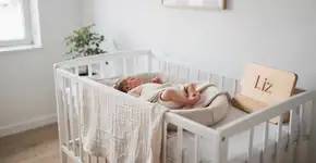 Foto: (Imagem sem texto alternativo disponivel ID [2710510])