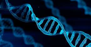 Foto: (Shutter2U/istock)