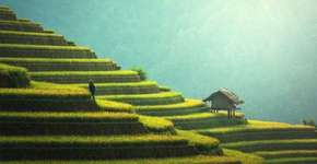 Foto: (Imagem sem texto alternativo disponivel ID [1514571])