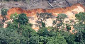 Brasil é ‘excluído’ de cúpula da ONU sobre clima
