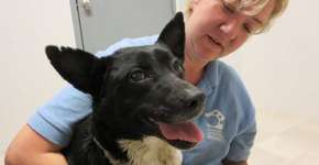 Foto: (Imagem sem texto alternativo disponivel ID [1867722])