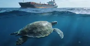 Foto: (Imagem sem texto alternativo disponivel ID [2729816])