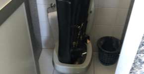 Foto: (Divulgação)