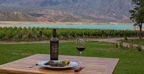 Argentina: rotas dos vinhos para todos os gostos