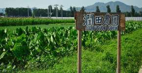 Foto: (Imagem sem texto alternativo disponivel ID [1394266])