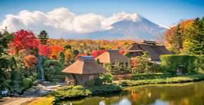 Foto: (SeanPavonePhoto/iStock)