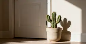 Foto: (Imagem sem texto alternativo disponivel ID [2672129])