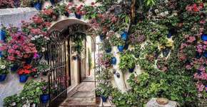 Foto: (Imagem sem texto alternativo disponivel ID [1575461])