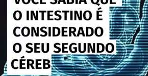 Sabia que o intestino é considerado o seu ‘segundo cérebro’?