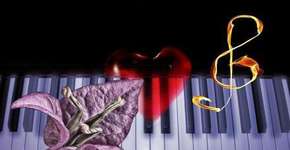 Foto: (Imagem sem texto alternativo disponivel ID [1858583])