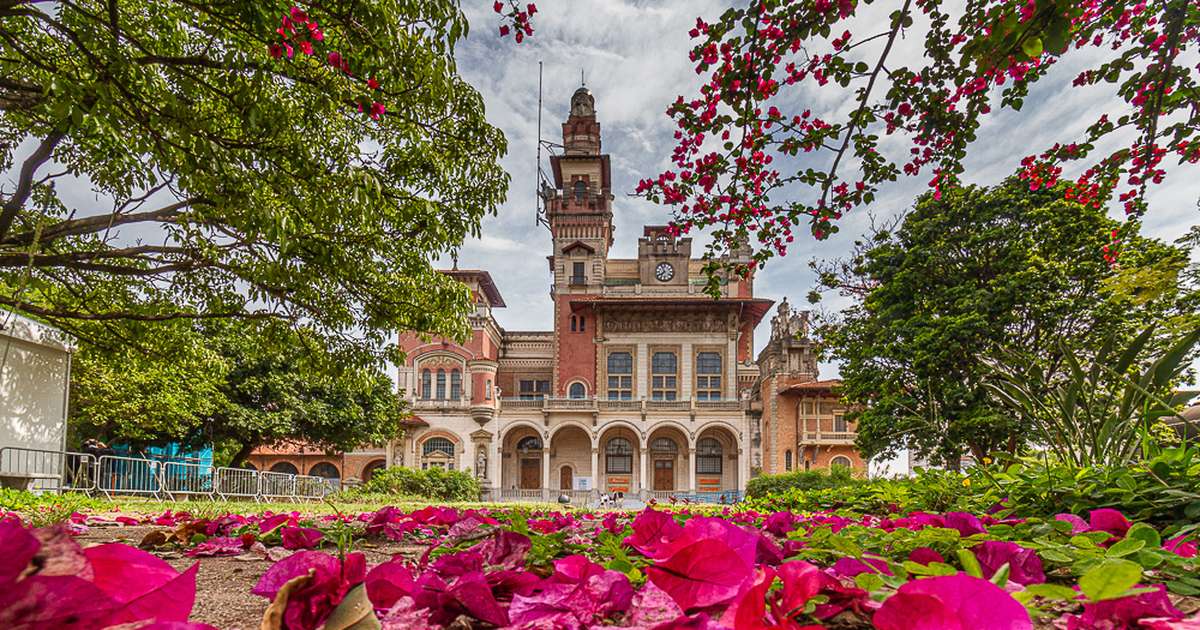 Shell celebra 113 anos no Brasil com dia de gratuidade em museus e espaços culturais