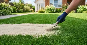 Nas casas mais verdes o gramado não tem buracos porque usam areia fina para nivelar o terreno