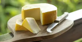 Rotas do Queijo de SP reúnem 102 queijarias em oito roteiros