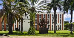 Cursos gratuitos da Unicamp para fazer sem sair de casa