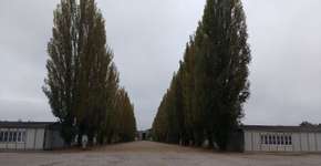 Saiba como é visitar o primeiro campo de concentração nazista na Alemanha