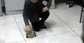 Foto: (Imagem sem texto alternativo disponivel ID [1839238])