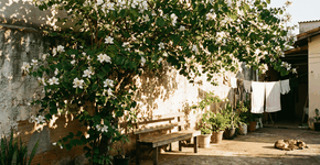 Foto: (Imagem sem texto alternativo disponivel ID [2747495])