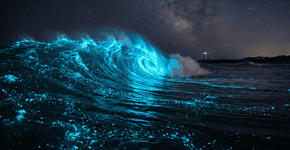 Foto: (Imagem sem texto alternativo disponivel ID [2743803])