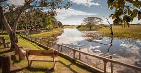 Foto: (Divulgação)