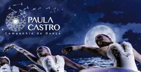 Teatro de Dança apresenta “Cisnes”