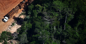 A destruição da Floresta Amazônica nas lentes de Rodrigo Baleia