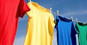 Foto: (iStock/miflippo)