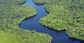 Foto: ((c)NEIL PALMER PHOTOGRAPHY)