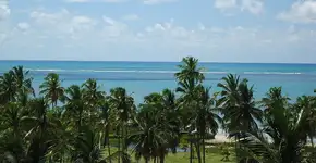 Foto: (Imagem sem texto alternativo disponivel ID [1393926])