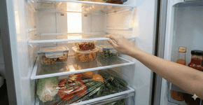 Foto: (Imagem gerada por IA/Gemini)