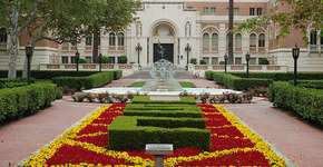 Foto: (Imagem sem texto alternativo disponivel ID [997027])