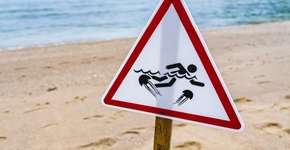 Foto: (Imagem sem texto alternativo disponivel ID [2700843])