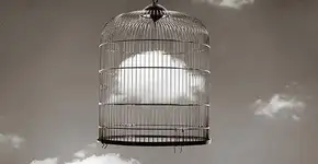 Foto: (Imagem sem texto alternativo disponivel ID [429351])