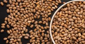 Foto: (Getty Images)