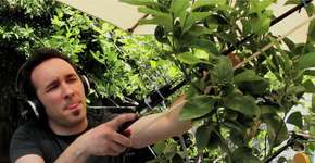 Foto: (Imagem sem texto alternativo disponivel ID [268349])