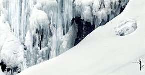 Foto: (Imagem sem texto alternativo disponivel ID [1070939])