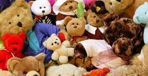 Campanha arrecada bichinhos de pelúcia dados por ex-namorados