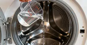 Foto: (Imagem sem texto alternativo disponivel ID [2671037])